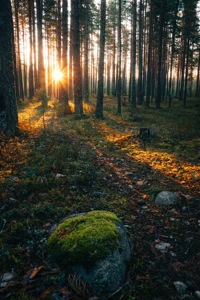 Photograph by Pavel Arseev