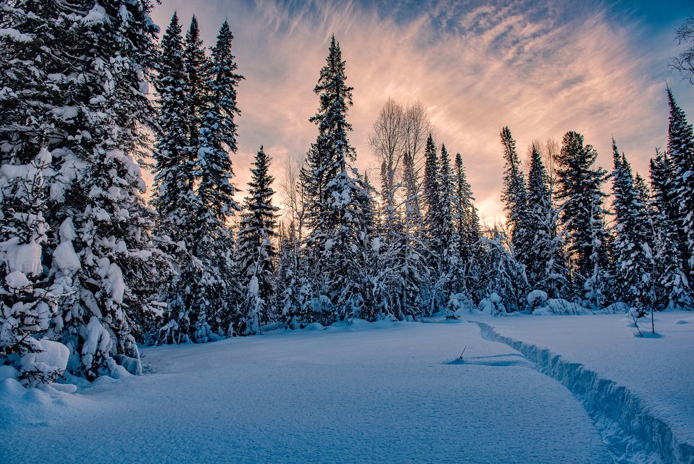 Photograph by Виктор Садырин
