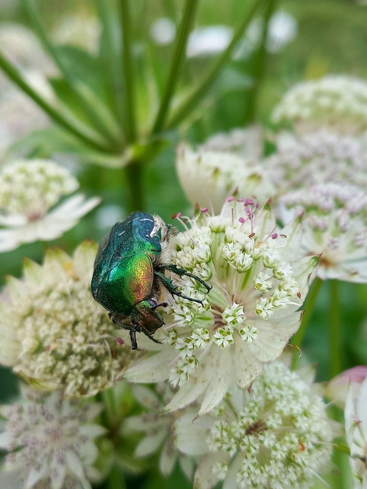 Photograph by Светлана Капитонова