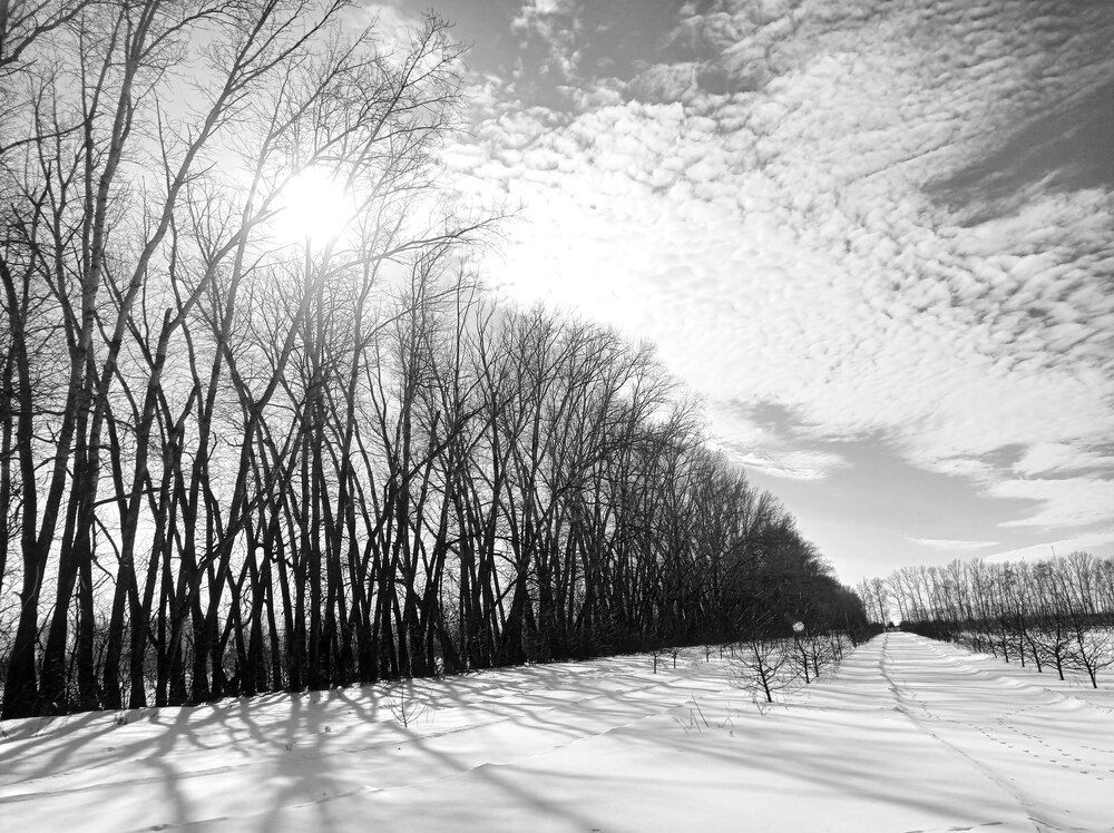 Photograph by Ксения Гайдучик