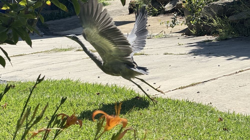 Фотография автора Ben Gorman