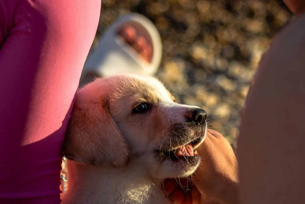 Photograph by Терещенко Евгений