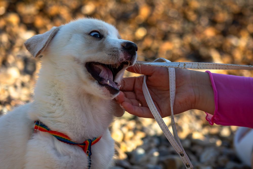 Photograph by Терещенко Евгений