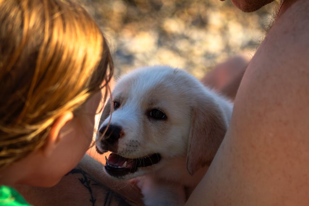Photograph by Терещенко Евгений