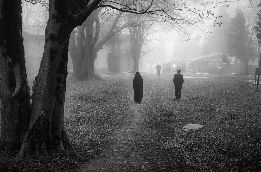 Фотография автора Mostafa Mohammad Beigi