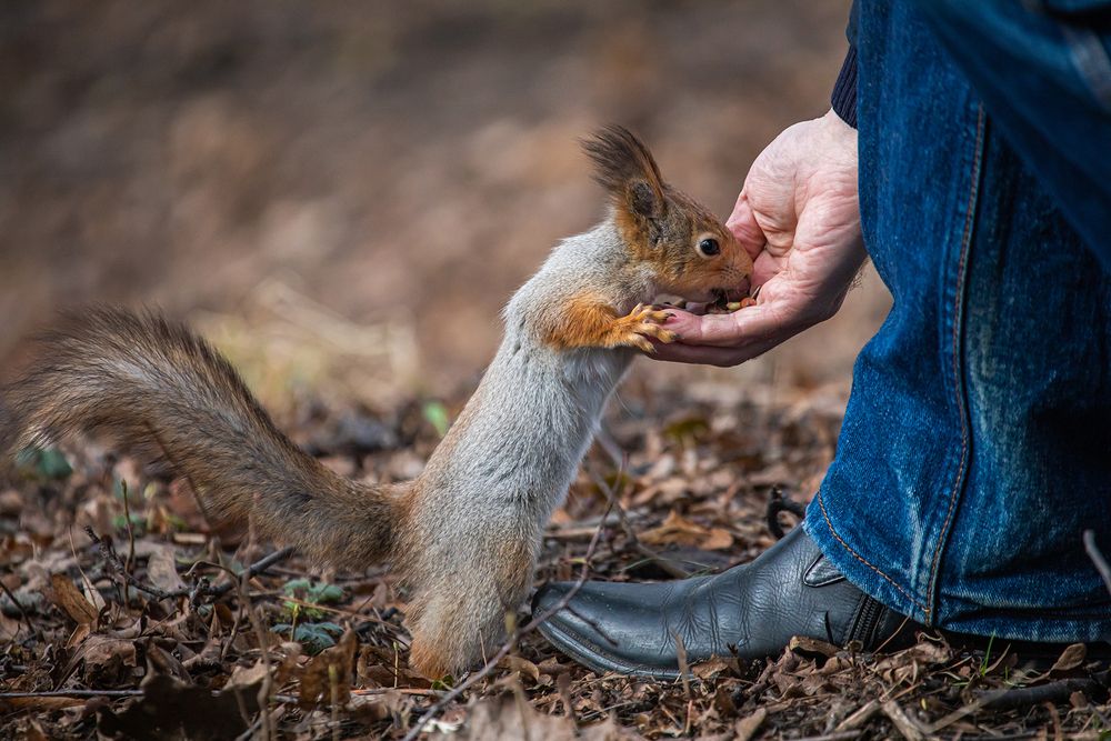 Photograph by Волынский Виктор
