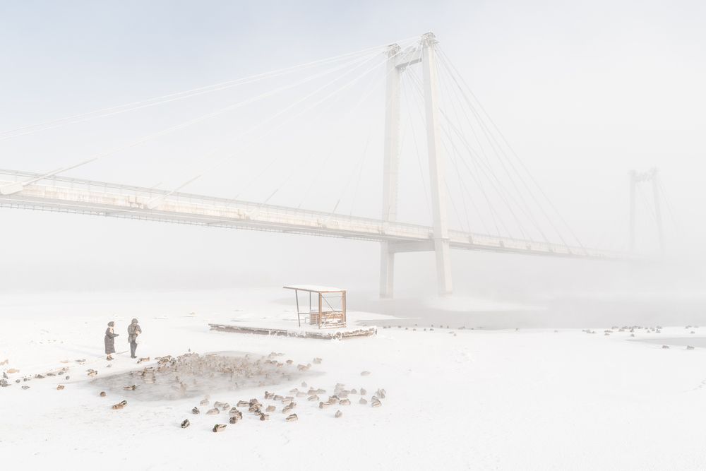 Кормушка у моста