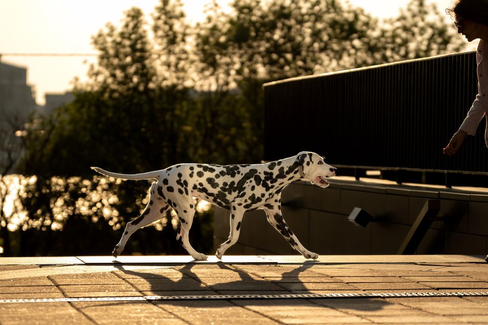 Photograph by Марина Виноградова