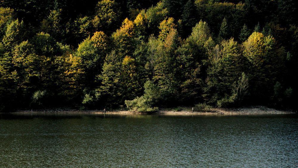 Фотография автора Вадим Дорофей