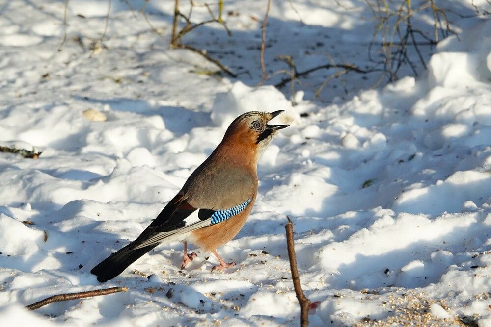 Photograph by jelena konickaja