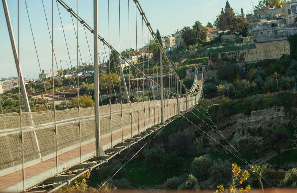 Photograph by Трегубов Лада