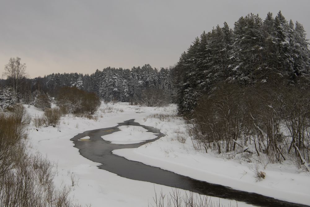 Photograph by Михаил Татанов