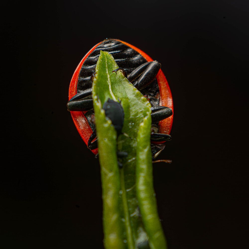 Photograph by Marianna Klein