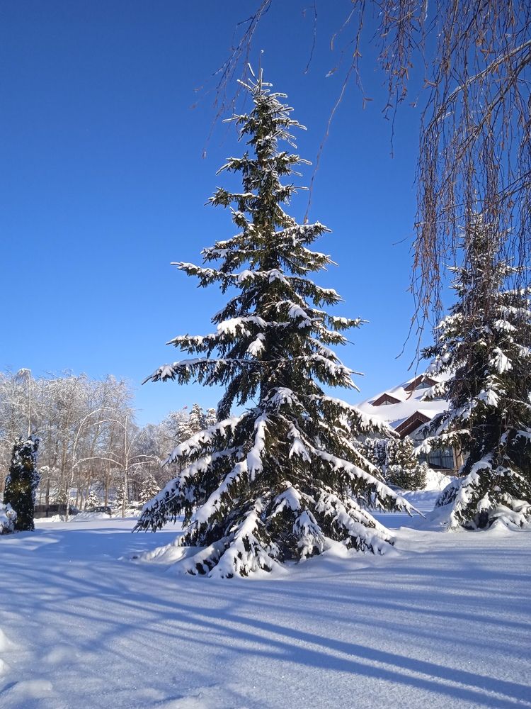 Photograph by Фёдор Викторович