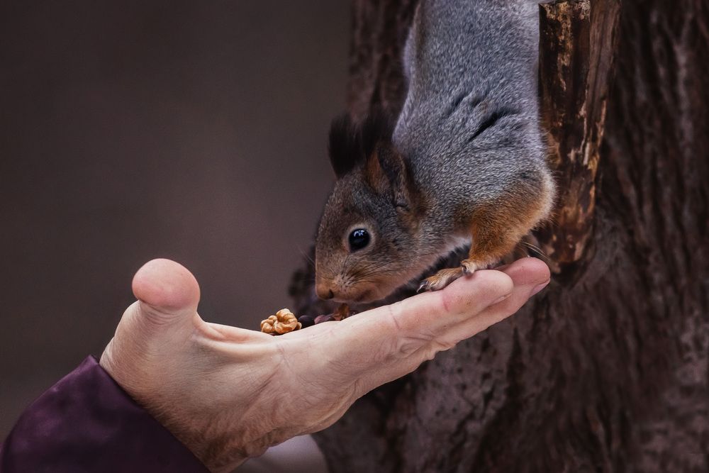 Photograph by Алексей Широбоков