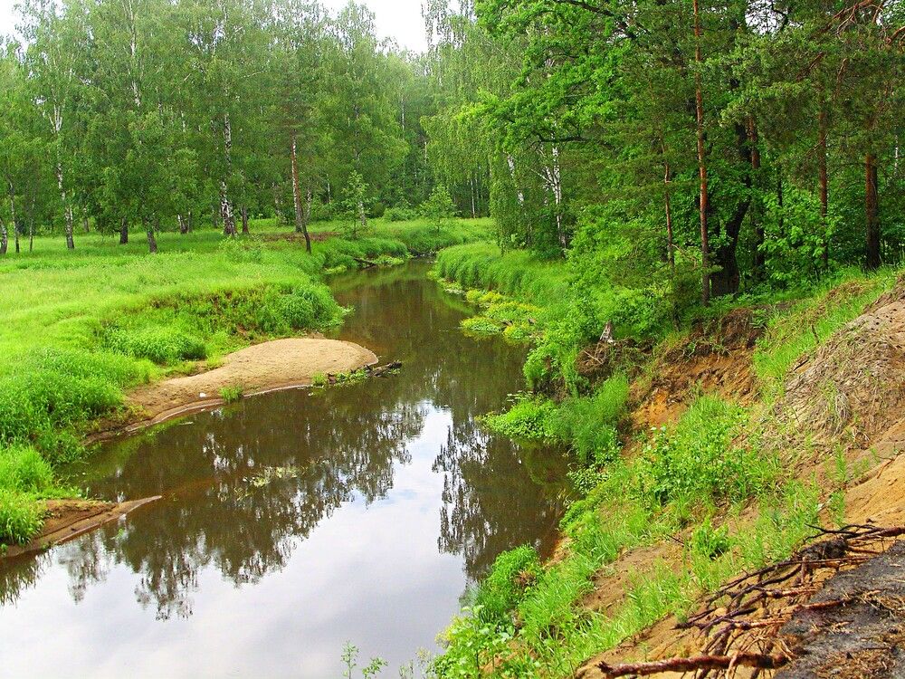 Река Поля