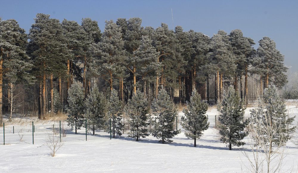 Фотография автора Сергей Черных