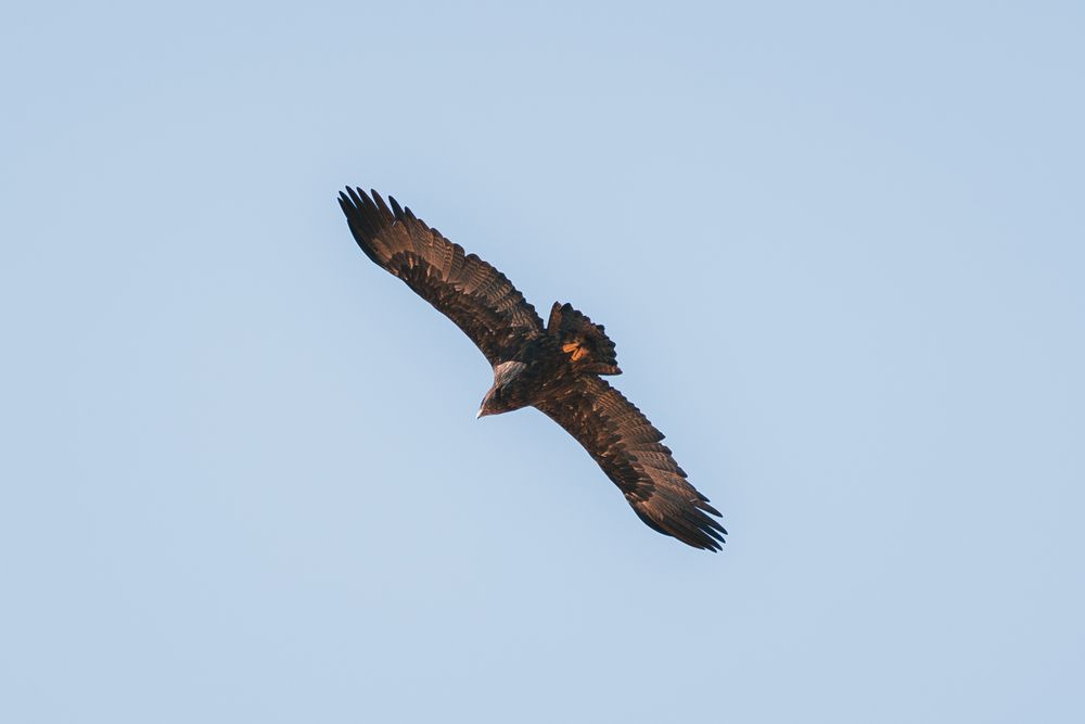 Photograph by Brian Robinson