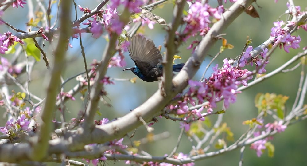 Photograph by Alex Gershtein