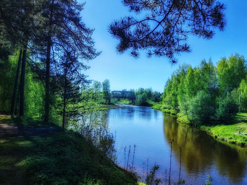 Photograph by Дайана