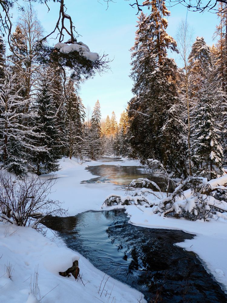Фотография автора Валентин Ефимов