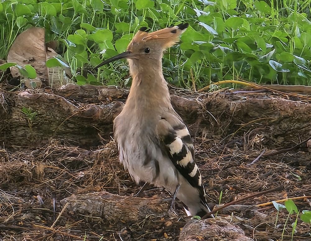 Photograph by Alex Gershtein