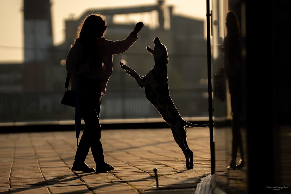 Photograph by Марина Виноградова