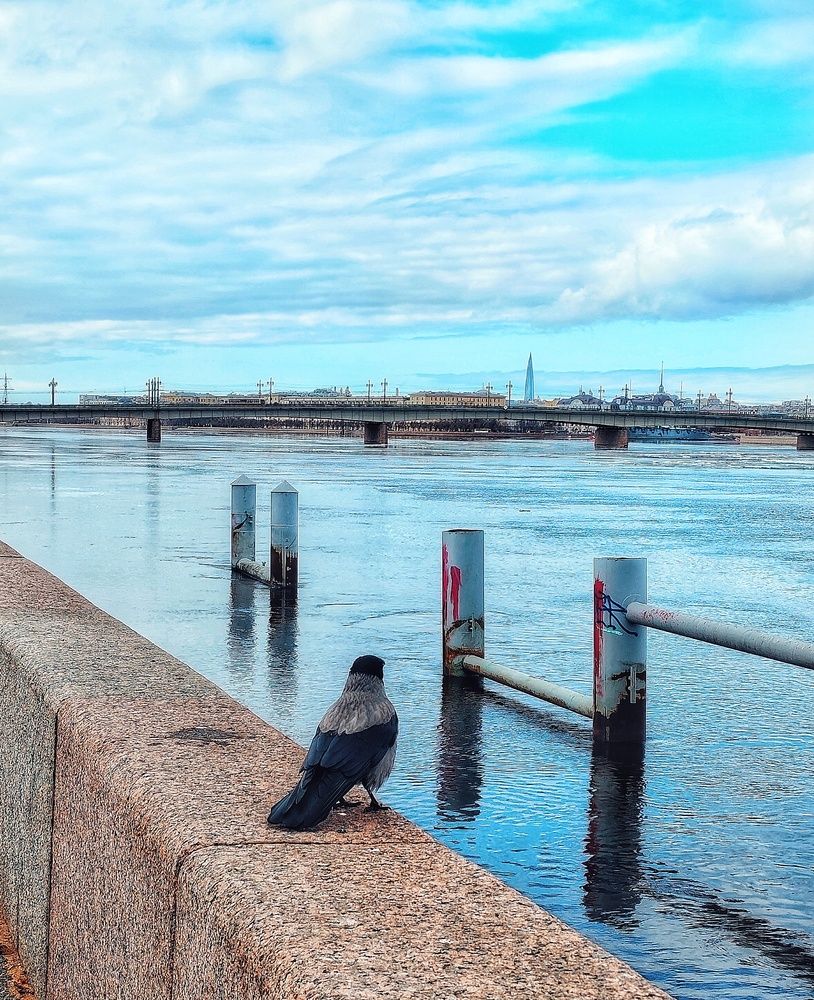 Photograph by Дайана