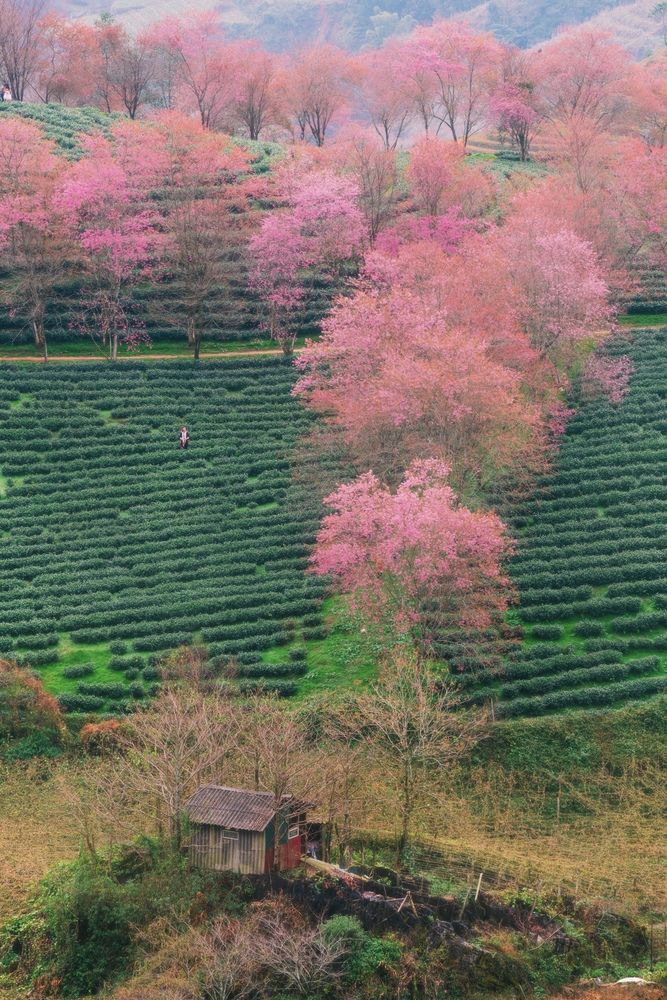 Spring Geometry