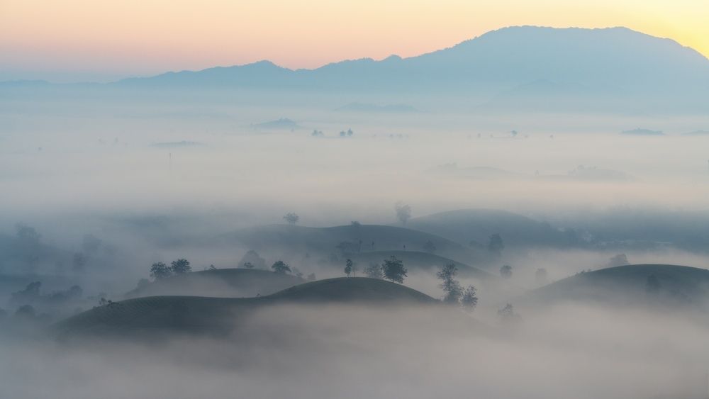 Photograph by Quân Lee