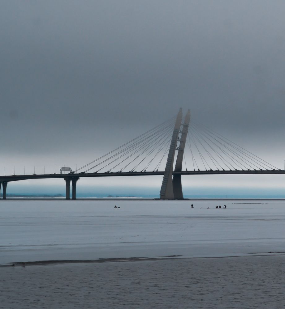 Photograph by Дайана