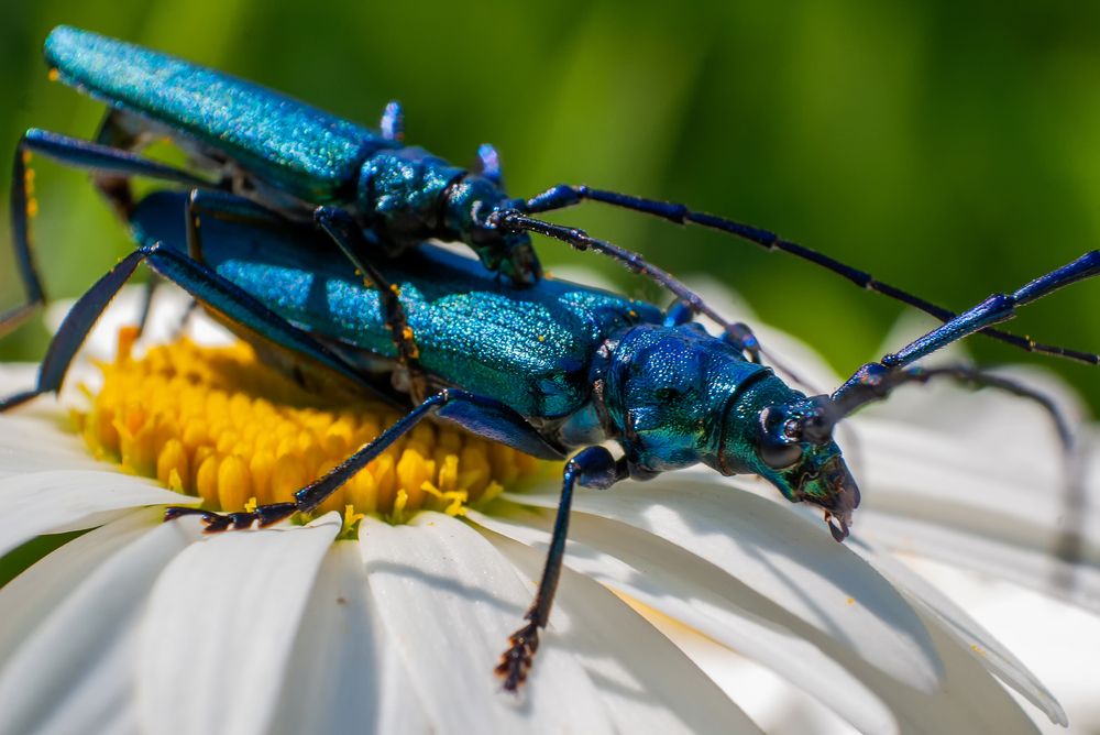 Photograph by Роман Приходько