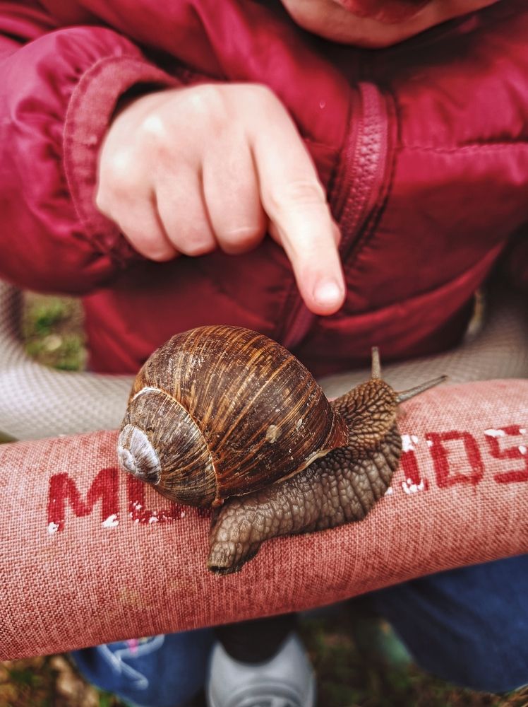 Photograph by Анна