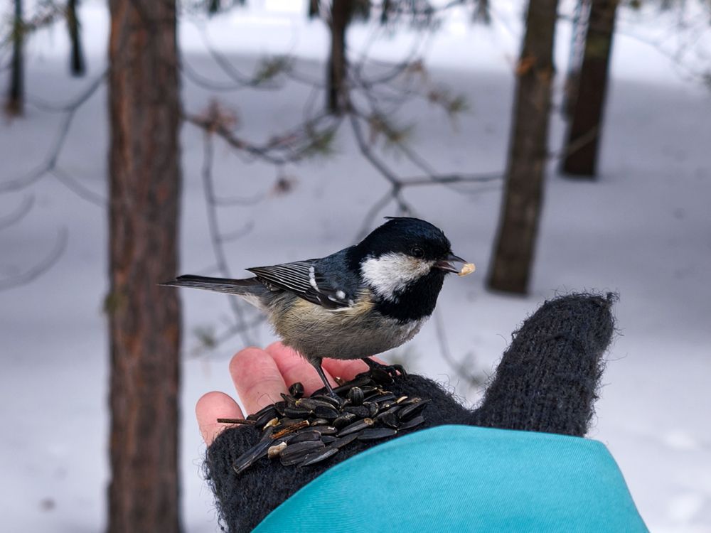 Photograph by Наталья Веселкина