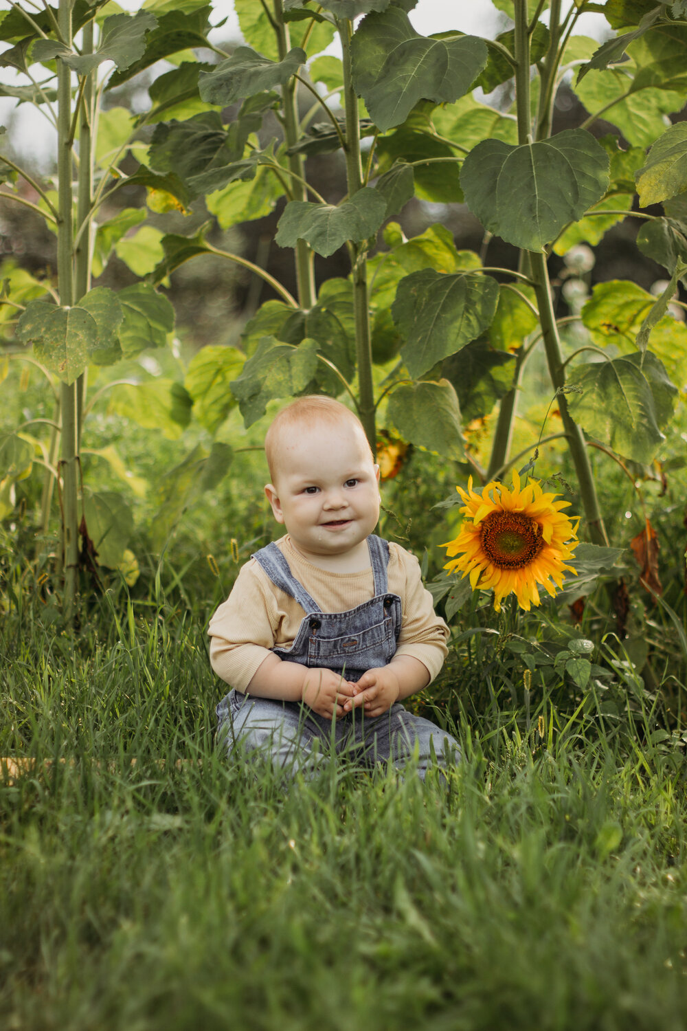 Photo #13238435