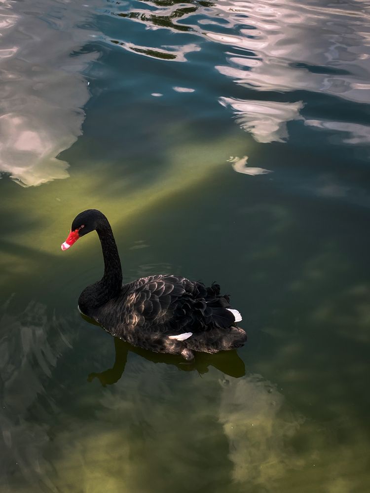 Photograph by Ксения Литвиненко