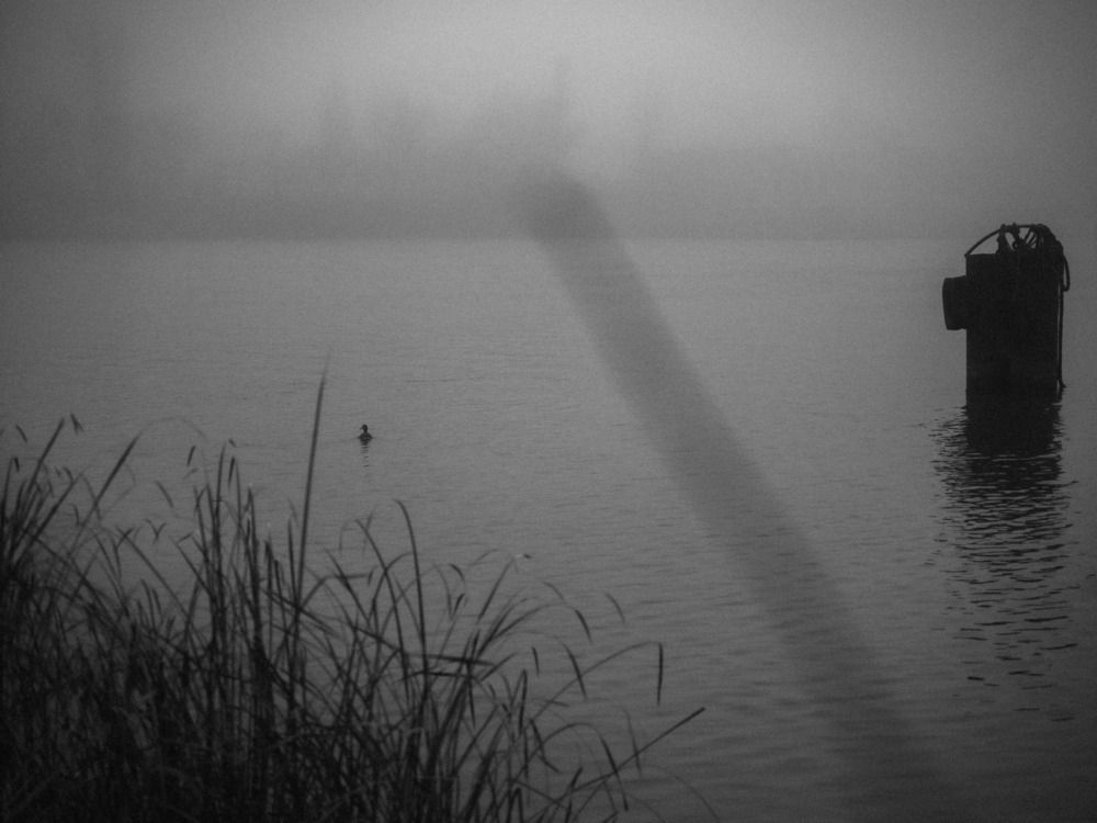 Photograph by Максим Новиков