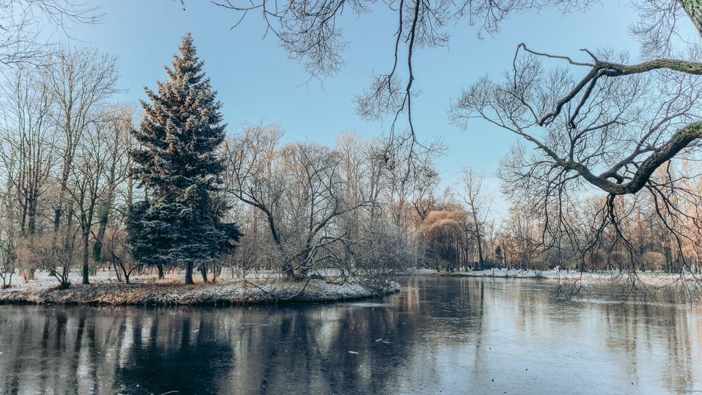 Photograph by Андрей Жидких