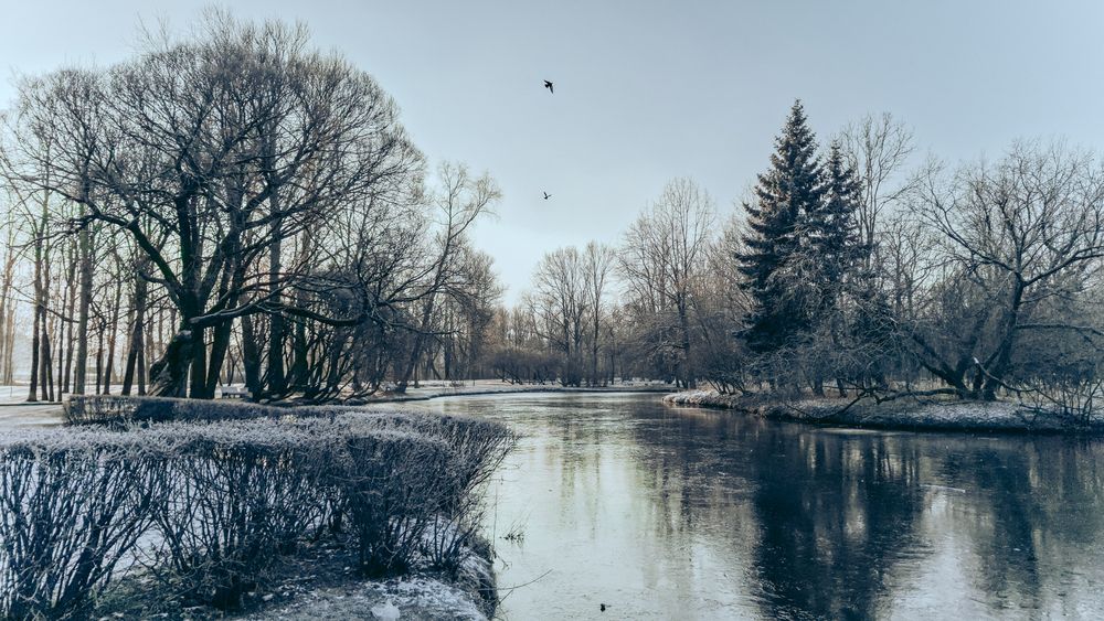 Photograph by Андрей Жидких