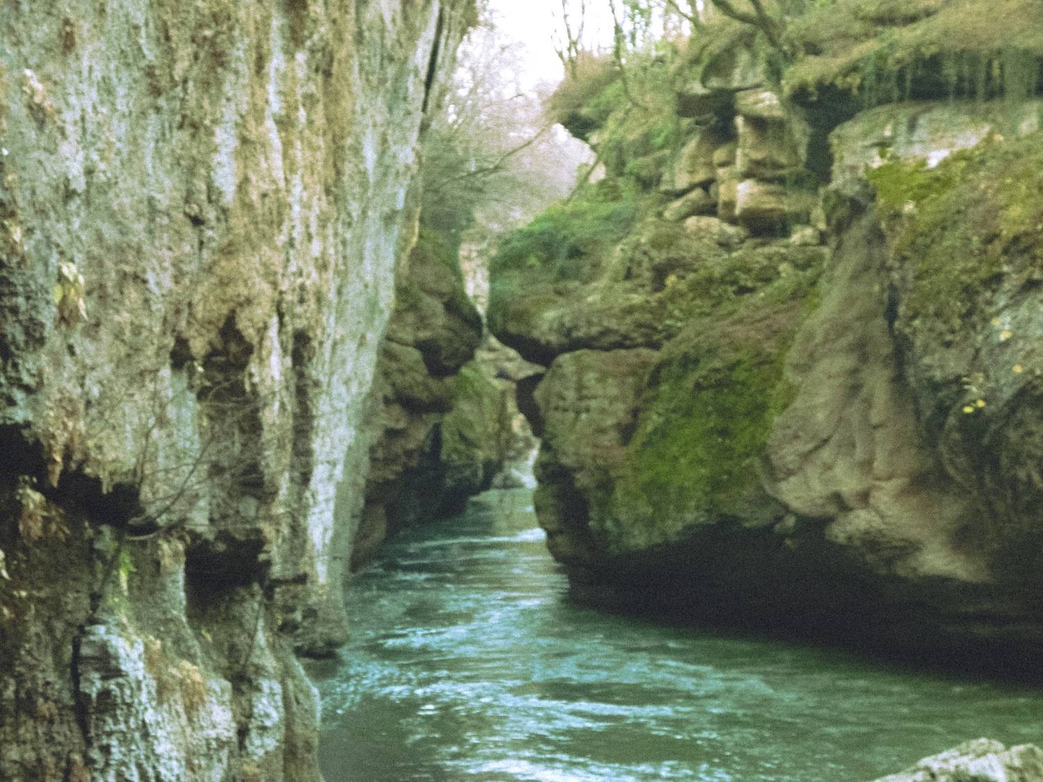 Photo #13238520
