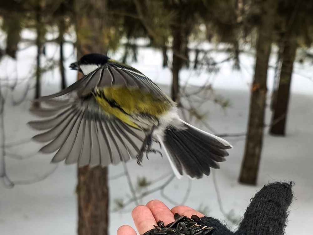 Photograph by Наталья Веселкина