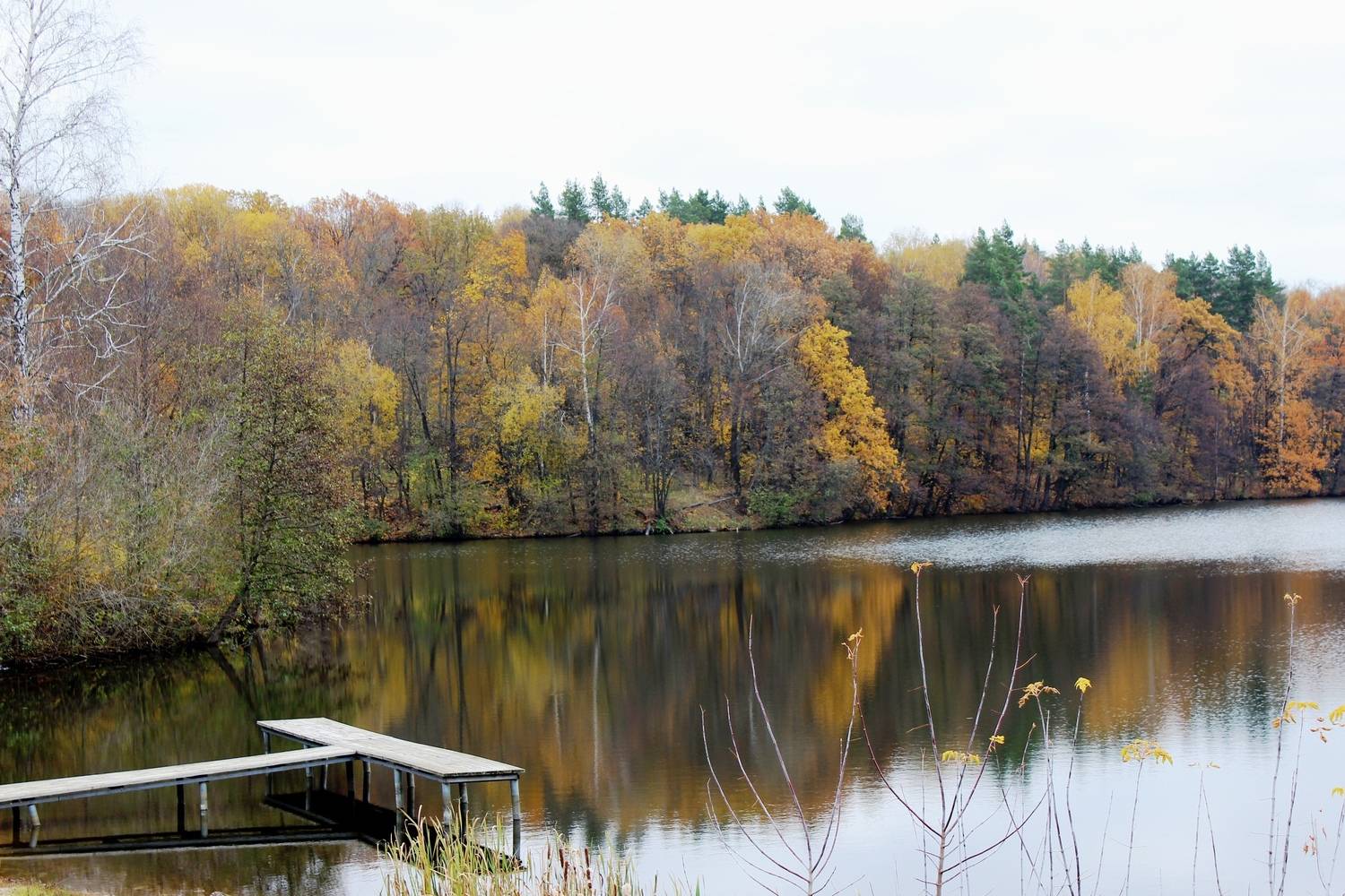 Photo #13238535