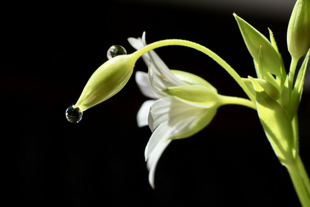 Photograph by Елена Карпухно