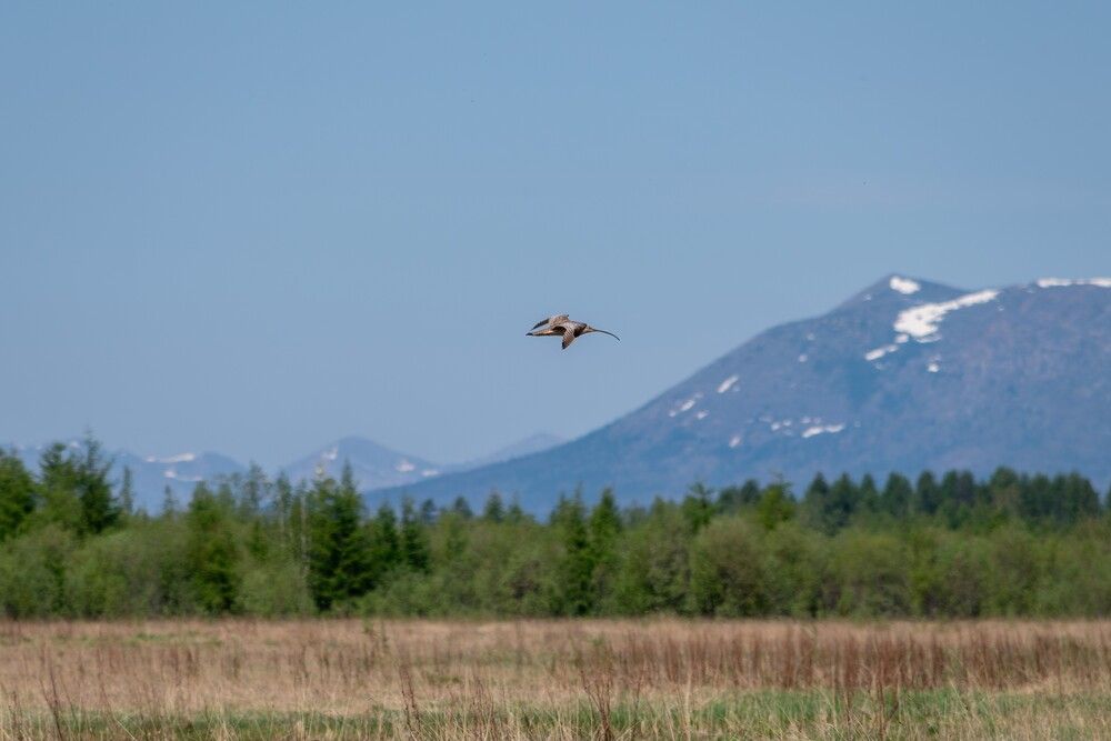 Photograph by Олег Яковлев