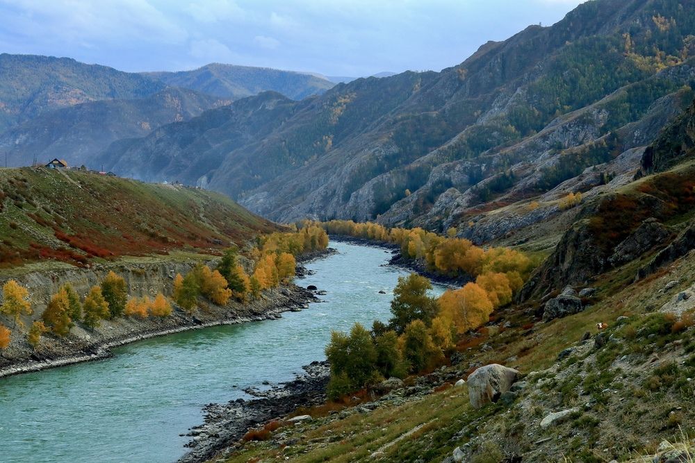 Фотография автора Леонид Голубков