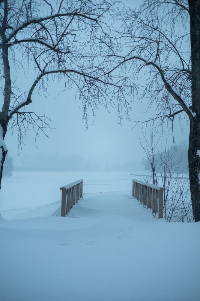 Photograph by Елена Луговая
