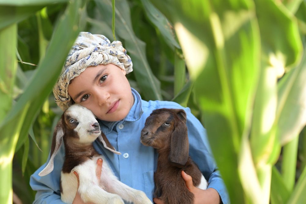 “Equal at Heart”