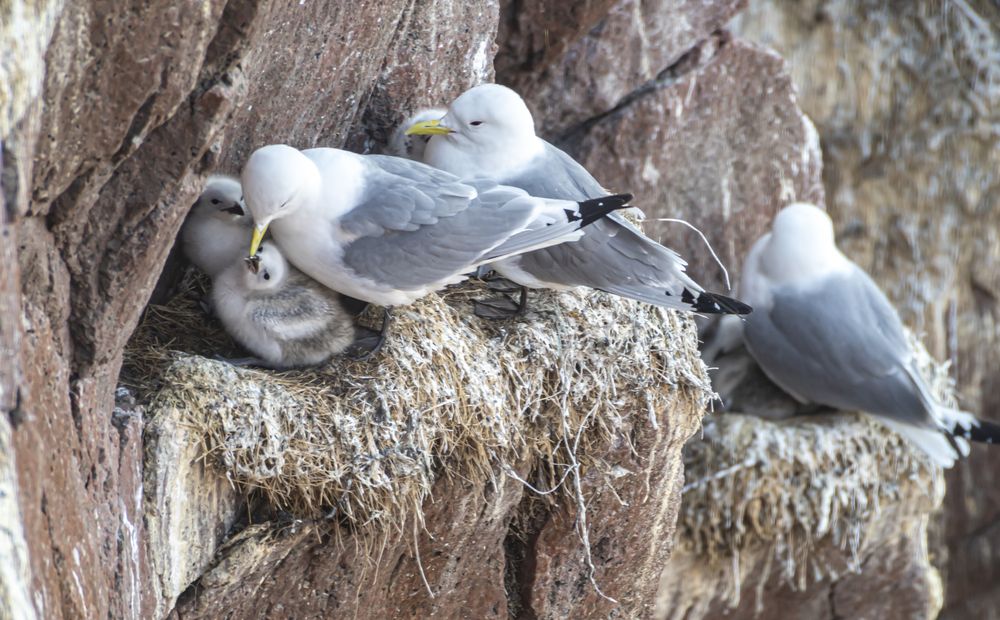 Photograph by Савчук Сергей