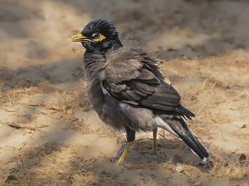 Photograph by Борис Полтавец