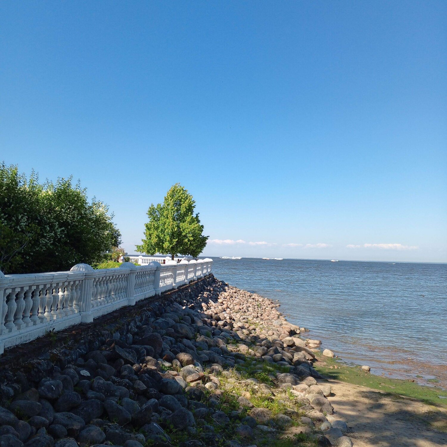 Photo #13238669
